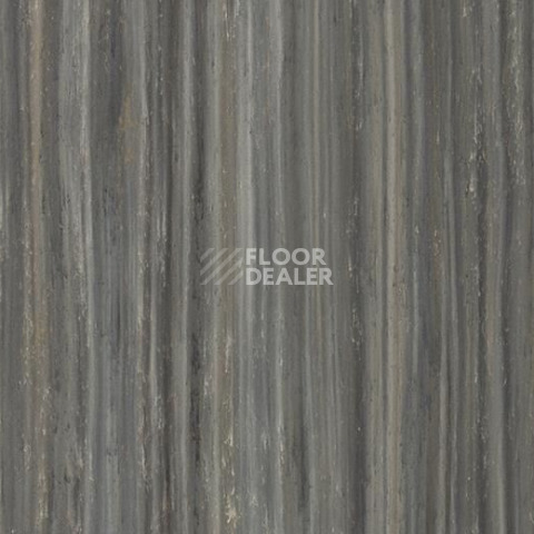 Линолеум Forbo Marmoleum Linear Striato Original 5237 black sheep фото 1 | FLOORDEALER